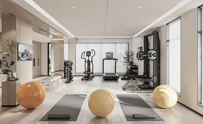 Modern Home Gym