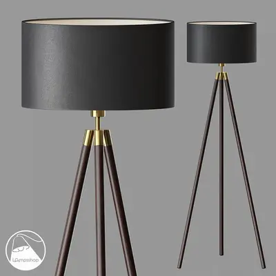 Modern Floor Lamp