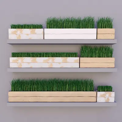 Modern Indoor Aerial View