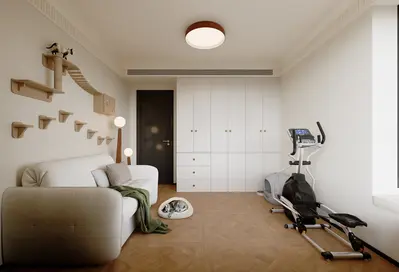Modern Home Gym
