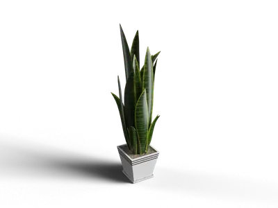 Modern Potted Plant
