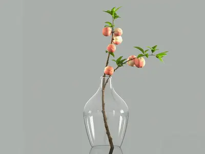 Modern Indoor Aerial View