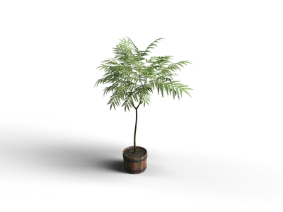 Modern Potted Plant
